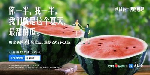 雪吃瓜文案,品味冬季的独特风味